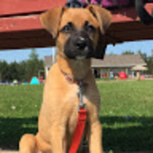 Meet your Posher, Robyn marie